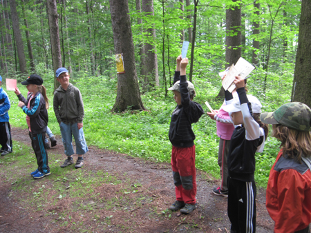 2AZalesnimistrasidylky (15)